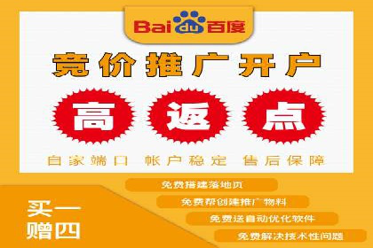 成功SEM推广代运营案例展示